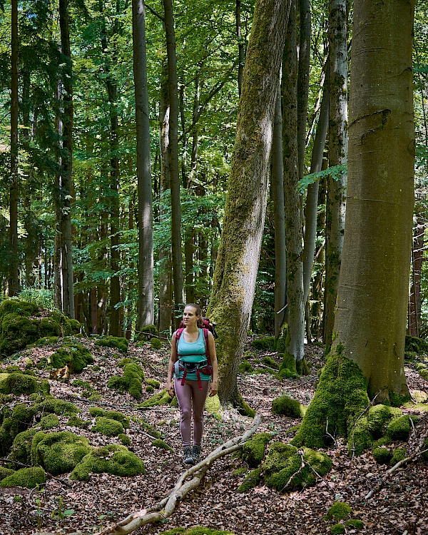 Verwunschene Wanderabschnitte auf dem Frankenalb Panoramaweg