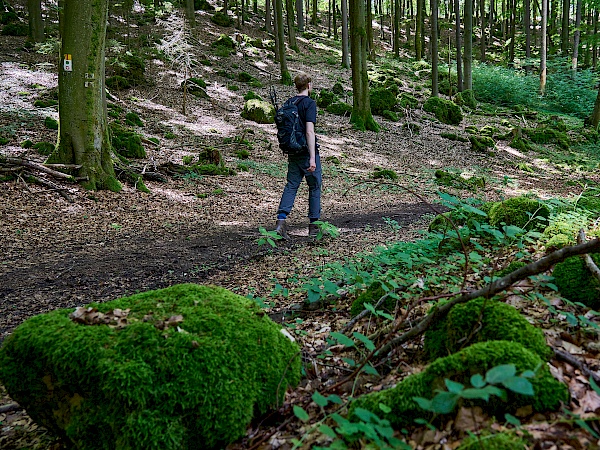 Wandern auf dem Frankenalb Panoramaweg