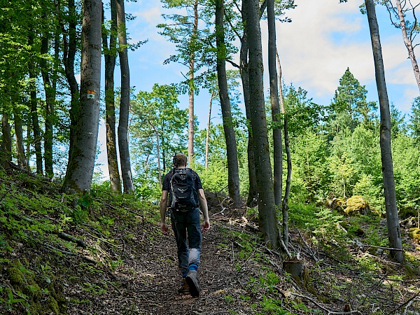 Wandern auf dem Frankenalb Panoramaweg