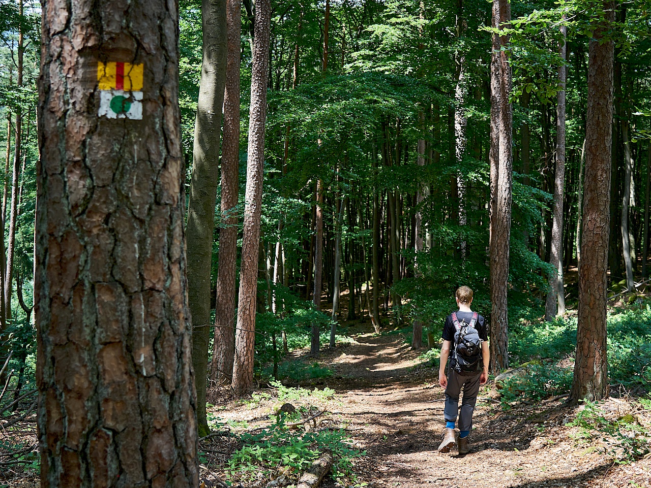 Wandern auf dem Frankenalb Panoramaweg