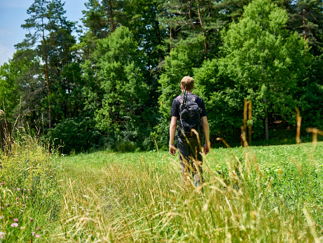 Wandern über Feldwege