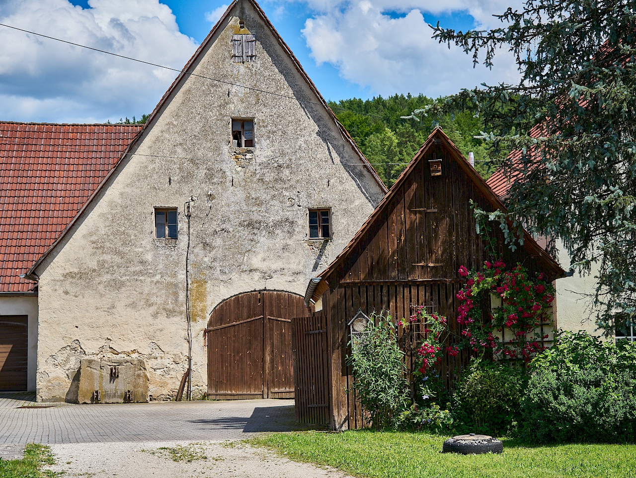 Waizenfeld im Nürnberger Land