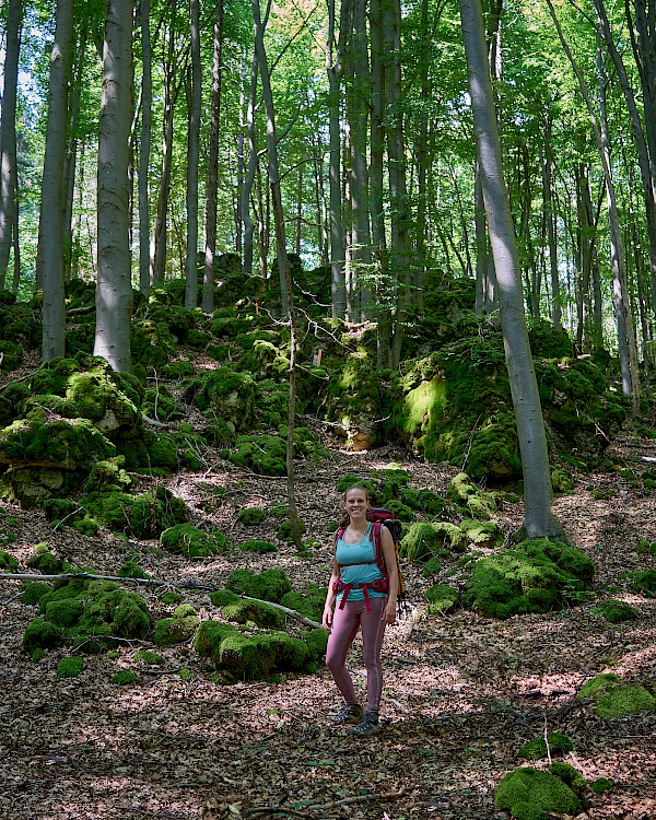 Moosbewachsene Steine auf dem Frankenalb Panoramaweg