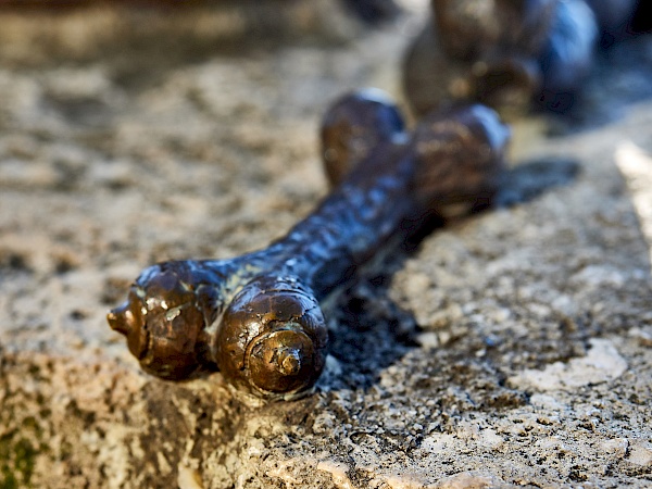 Mini-Skulptur des Knochen des Ballonhundes in Budapest