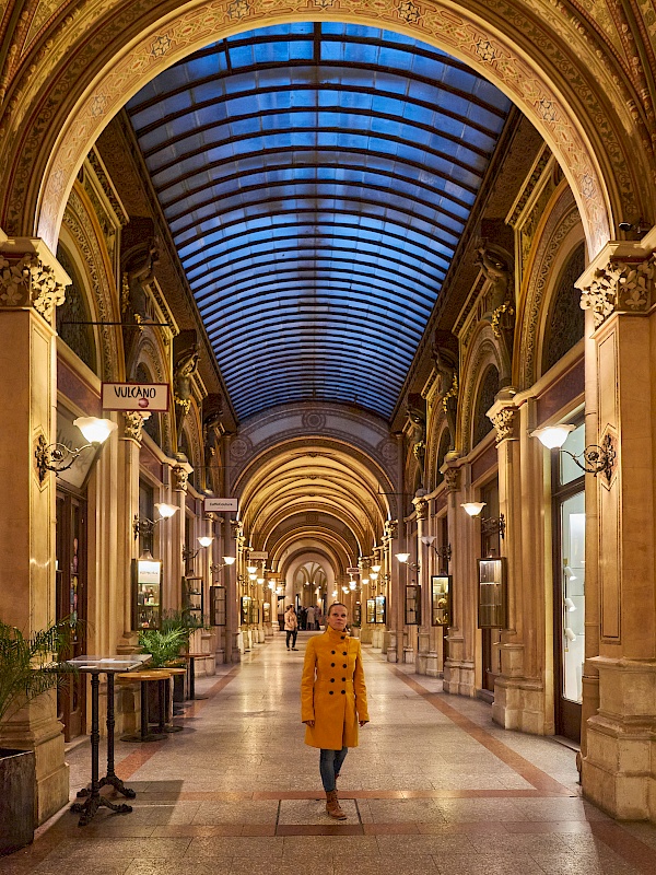 Die Ferstel Passage in Wien - Donau-Flusskreuzfahrt mit VIVA Cruises