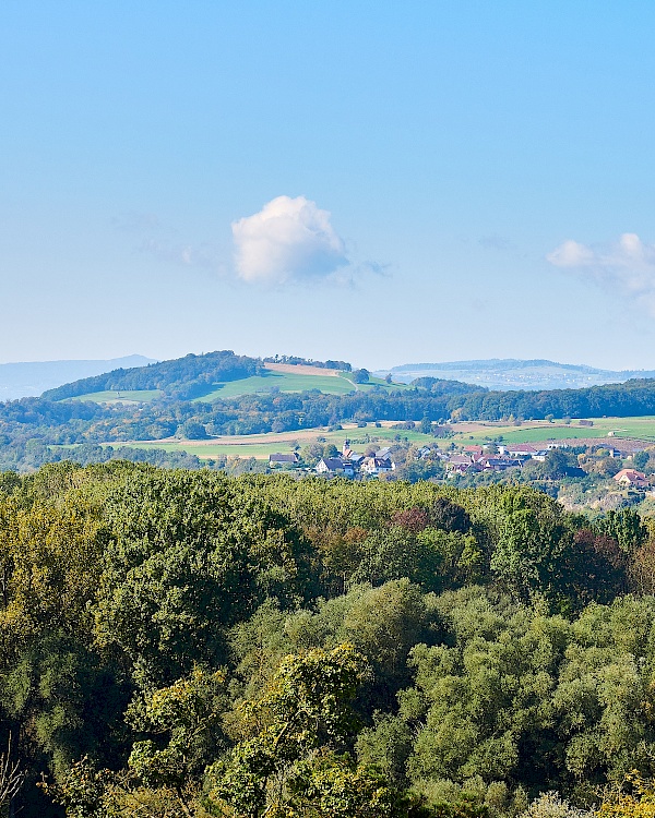 Blick von der Altane des Stifts Melk