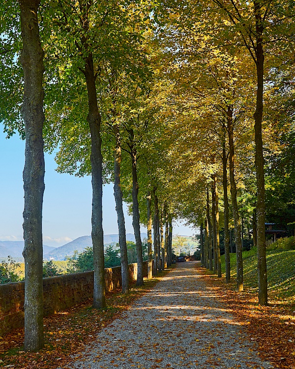 Der Stiftsgarten vom Stift Melk