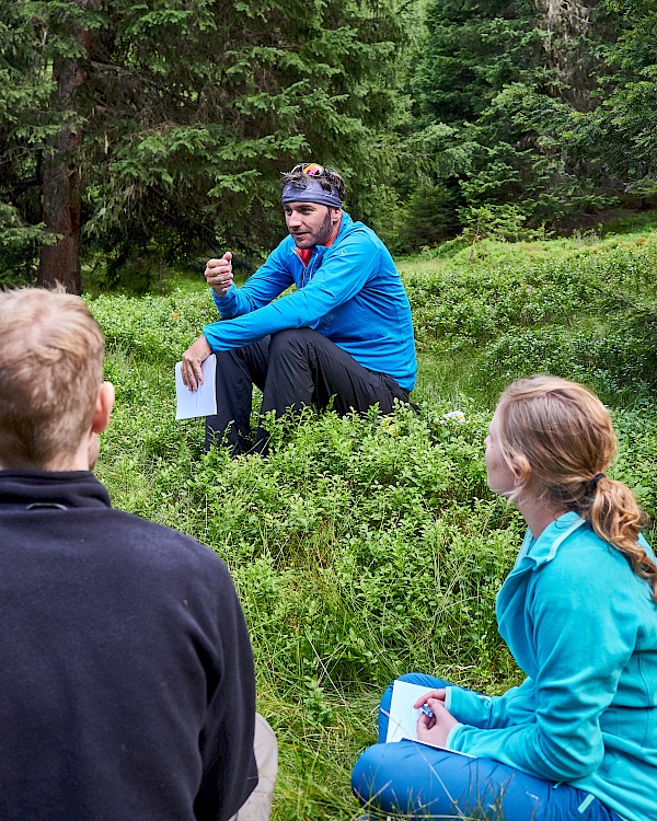 Reflektion im Wald im Mindful Mountain Programm