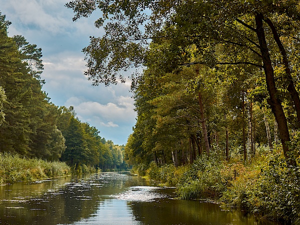 Mit dem Floß auf der Elde unterwegs