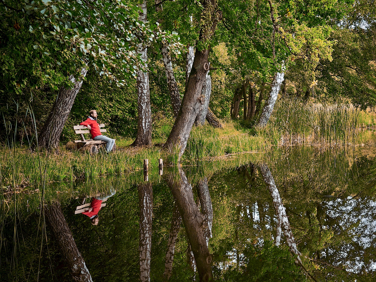 Voigtsdorfer Teich nahe Parchim in Mecklenburg