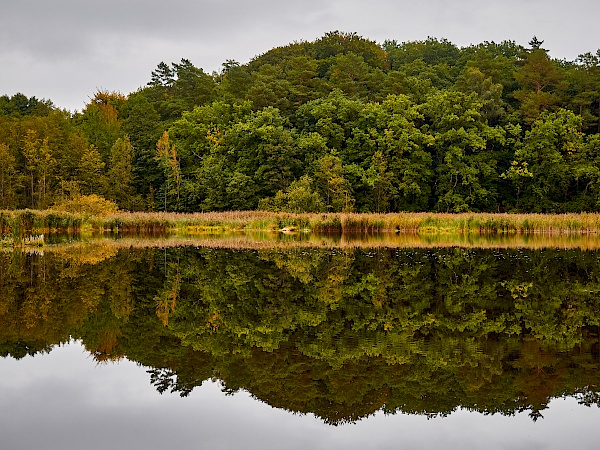 Voigtsdorfer Teich nahe Parchim in Mecklenburg