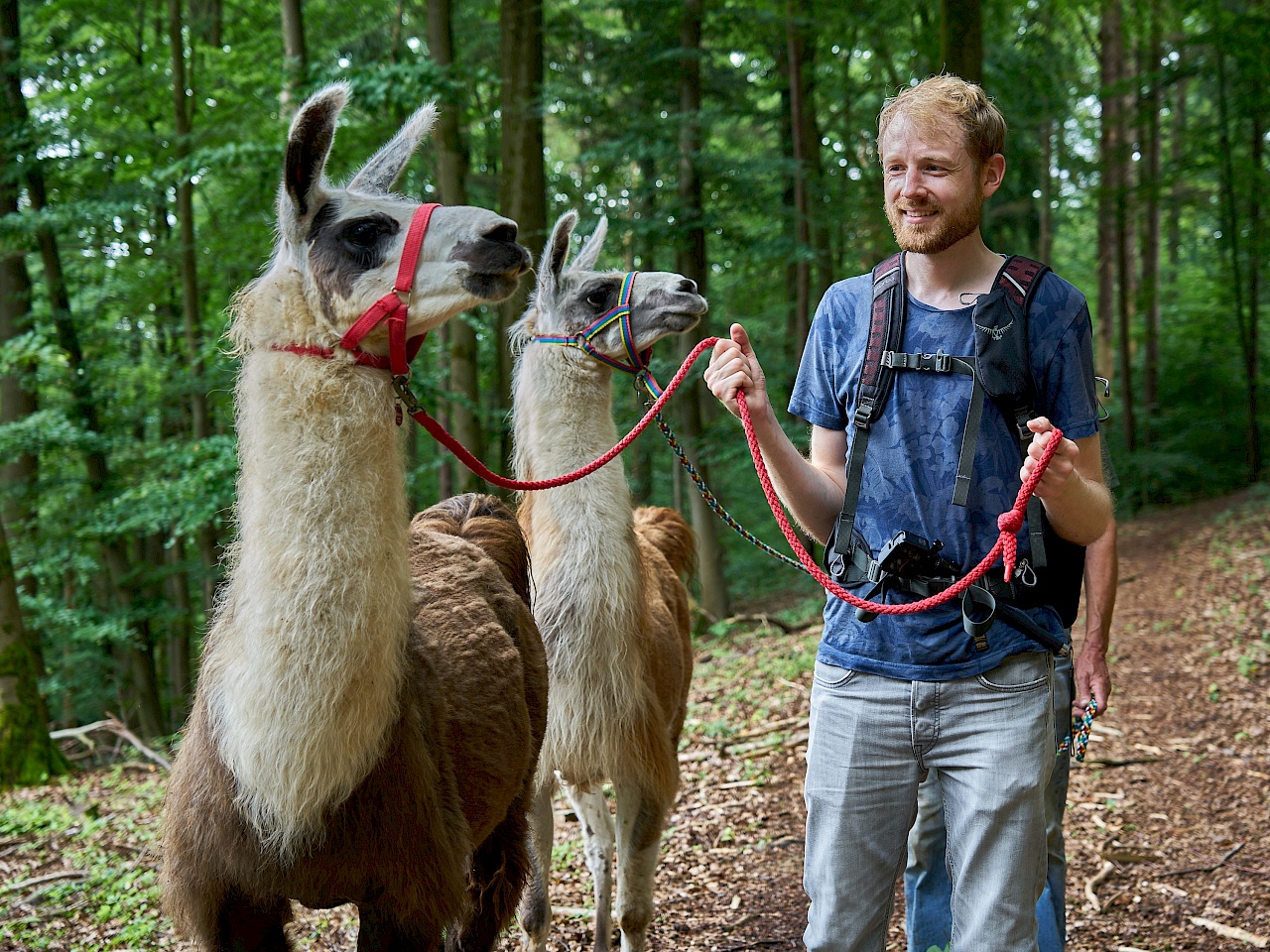 Cora und Christian - Lamatrekking im Nürnberger Land mit Reckenberg Lamas