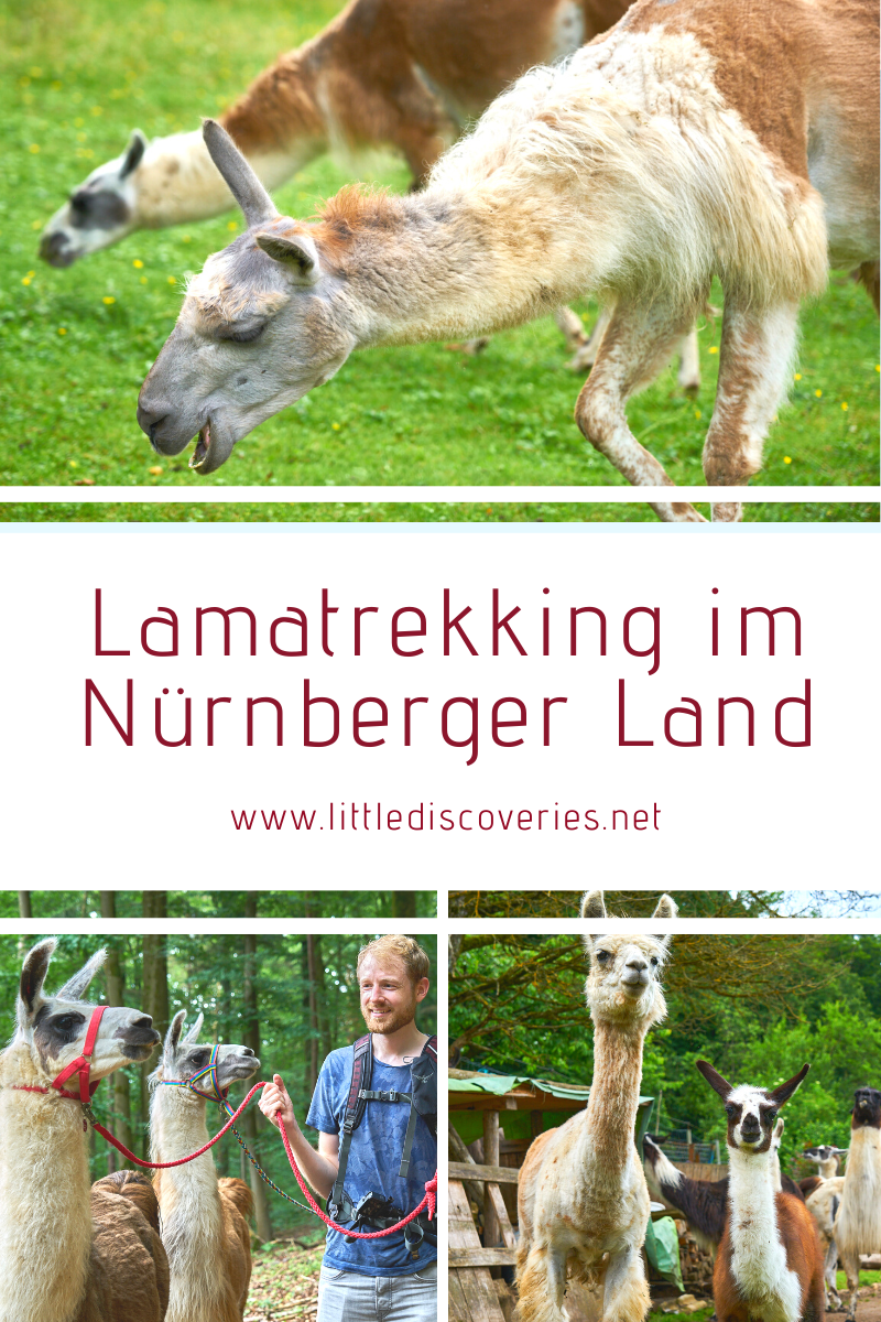 Lamatrekking im Nürberger Land