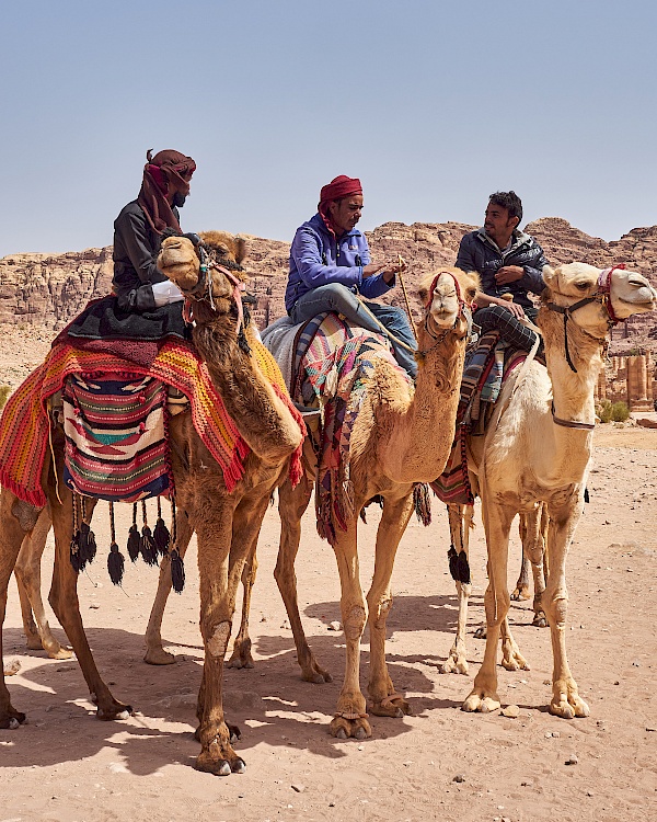Beduinen auf Kamelen in Petra (Jordanien)