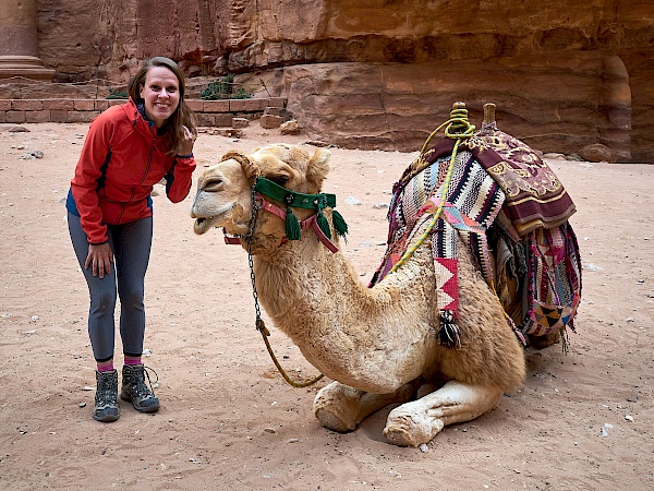 Kamele vor dem Schatzhaus in der Felsenstadt Petra in Jordanien