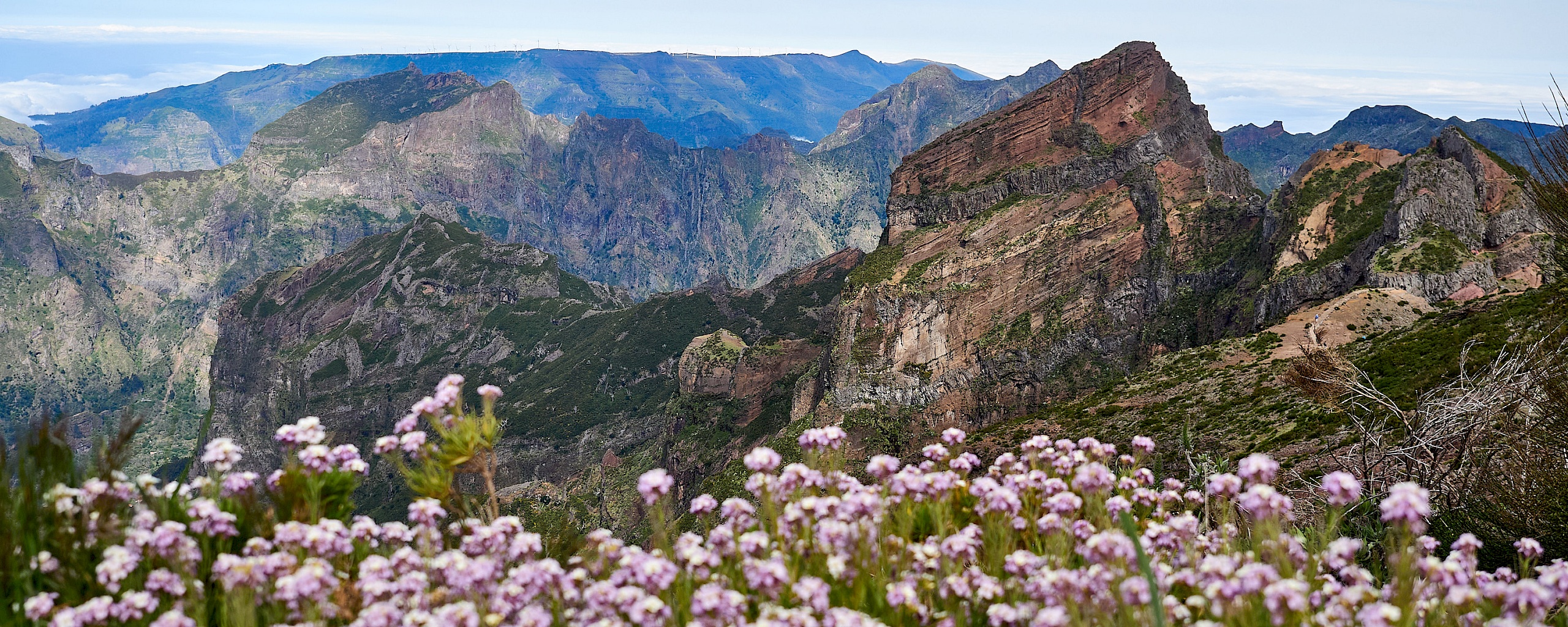 p5130791-pico_do_arierio-madeira-little-discoveries_net_1.jpg