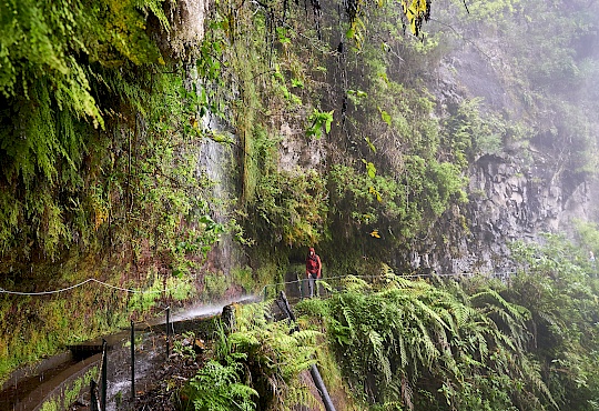 p5110242-levada_do_rei-madeirara-little-discoveries_net.jpg