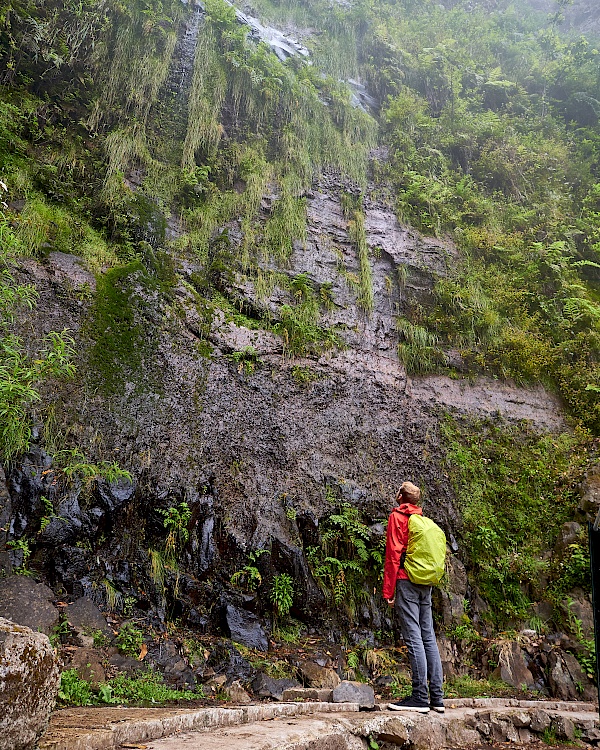 Wanderung auf der Levada do Rei (Madeira)