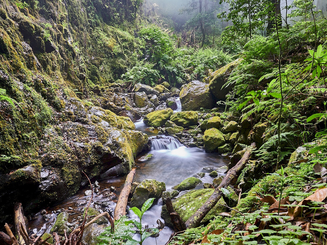 Wasserkaskaden am Ende der Wanderung Levada do Rei (Madeira)