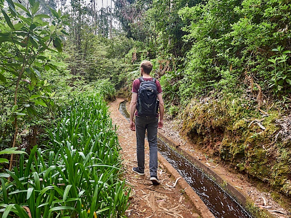 Wanderung entlang der Levada do Rei (Madeira)