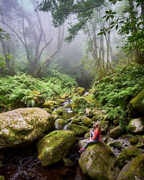 Eine kleine Schlucht am Ende der Wanderung auf der Levada do Rei (Madeira)