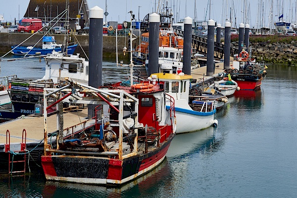 Der Hafen von Howth