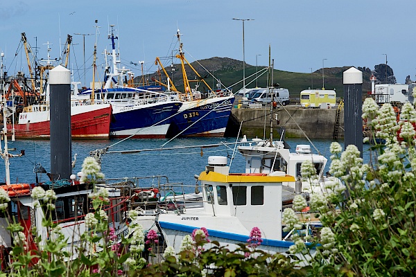 Der Hafen von Howth