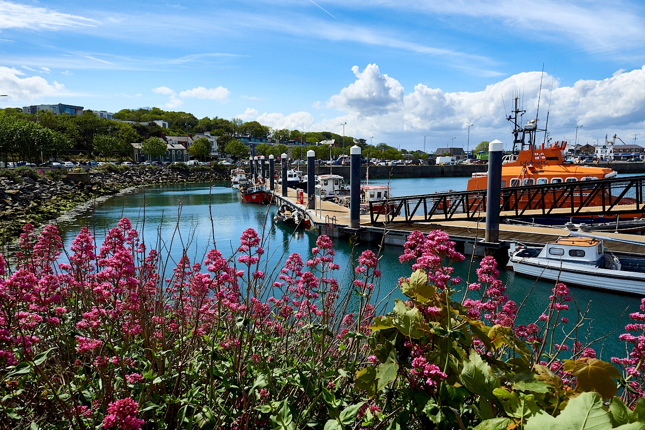 Am Hafen in Howth