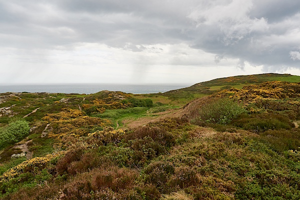 Wandern entlang der Küste in Howth