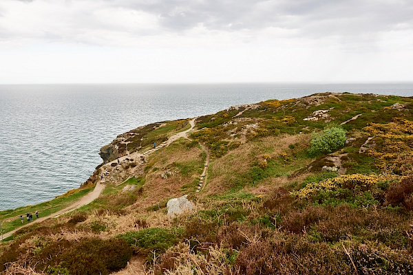 Wandern entlang der Küste in Howth