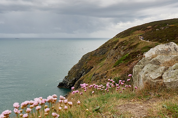 Wandern entlang der Küste in Howth