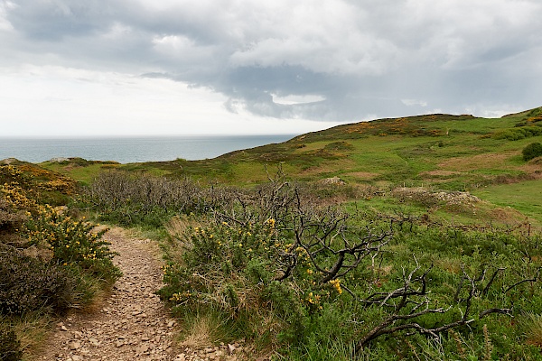 Wandern entlang der Küste in Howth