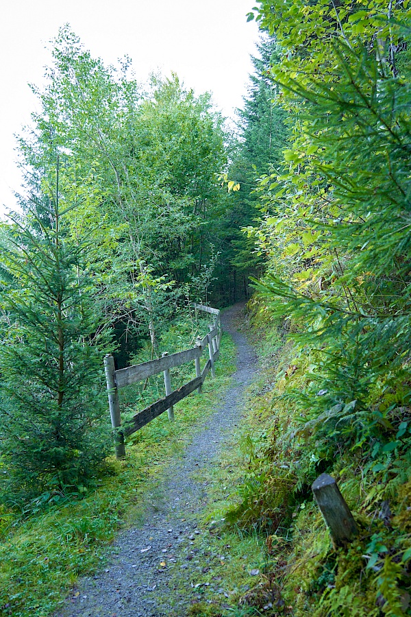 Wanderung vom Tal auf die Hohe Salve