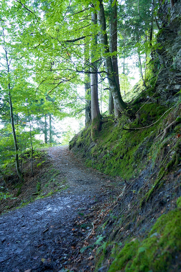 Wanderung vom Tal auf die Hohe Salve