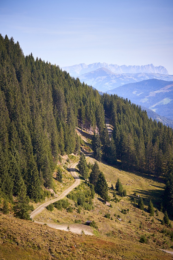 Wanderung vom Langen Grund auf das Feldalphorn