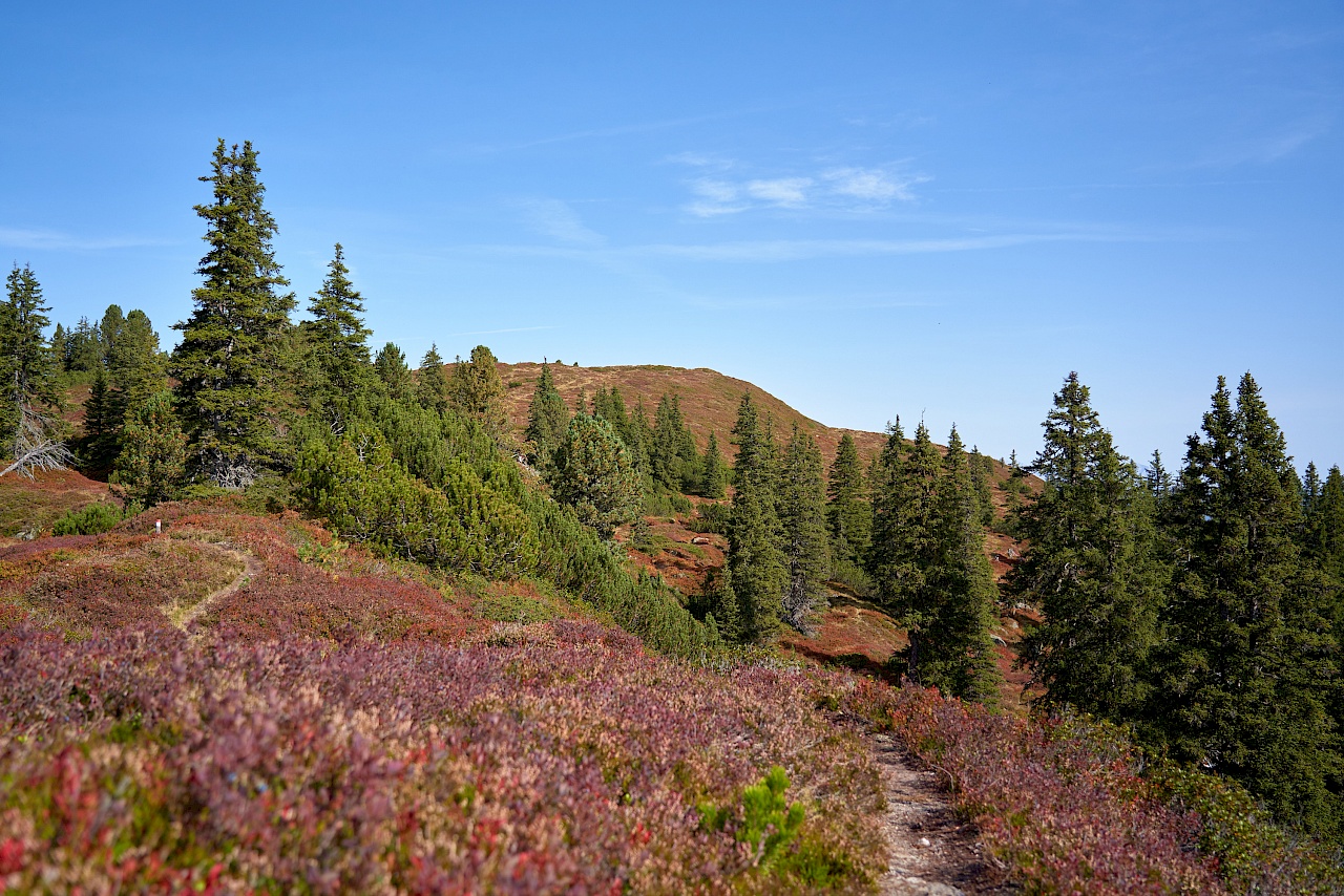 Wanderung vom Langen Grund auf das Feldalphorn