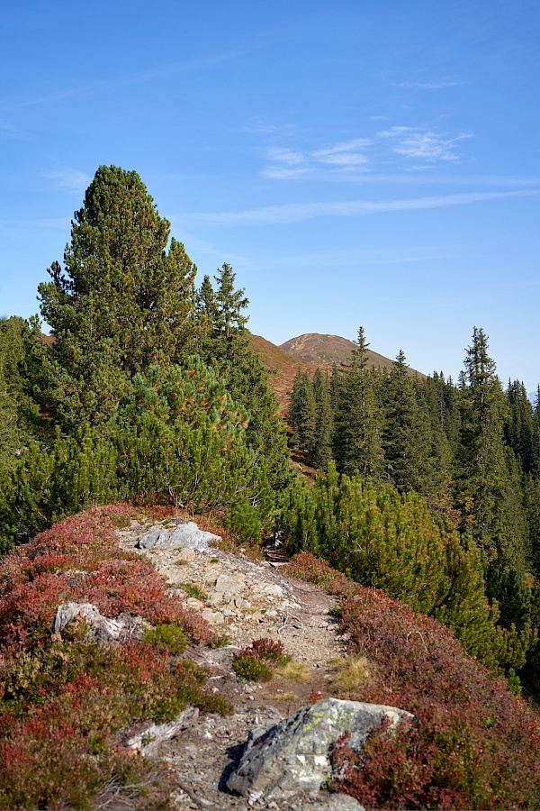 Wanderung vom Langen Grund auf das Feldalphorn