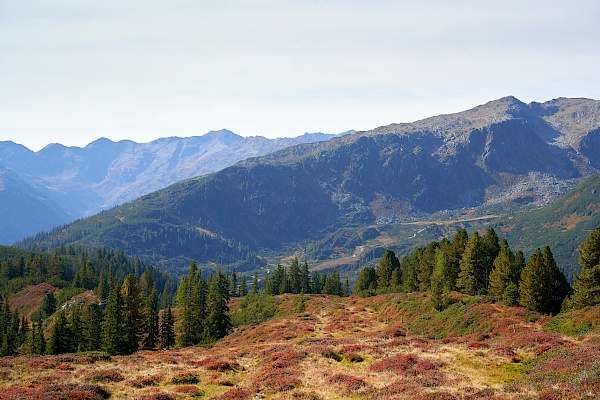 Wanderung vom Langen Grund auf das Feldalphorn