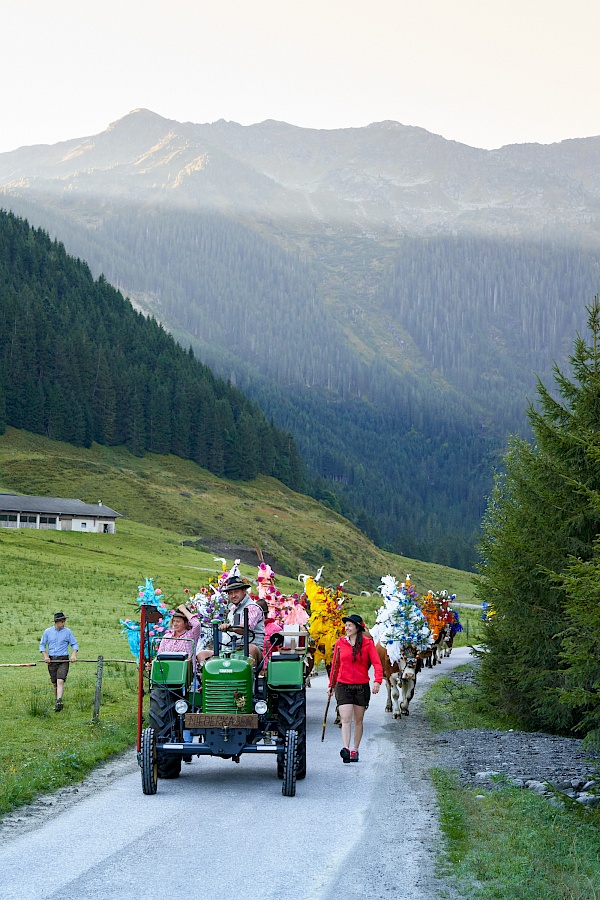 Wanderung auf den Schafsiedel und die Aleitenspitze - Almabtrieb