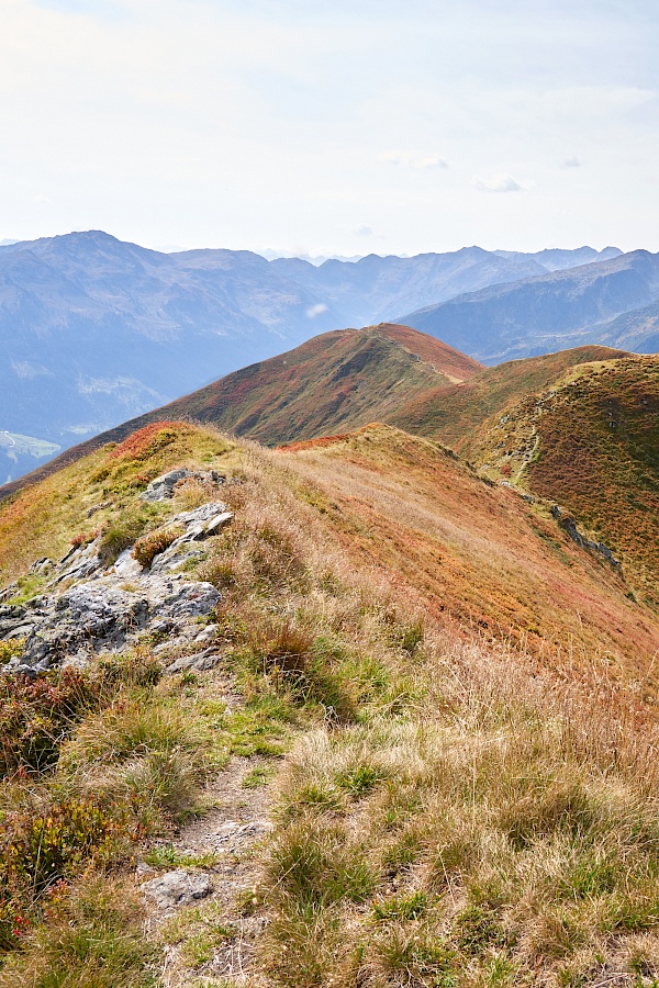 Wanderung vom Langen Grund auf das Feldalphorn