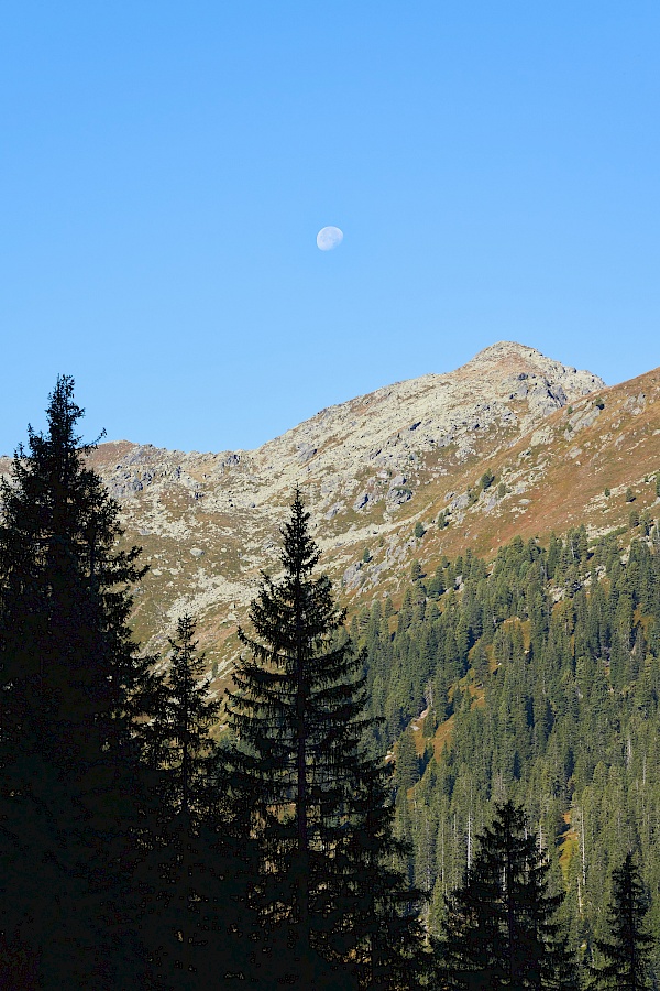 Wanderung auf den Schafsiedel und die Aleitenspitze