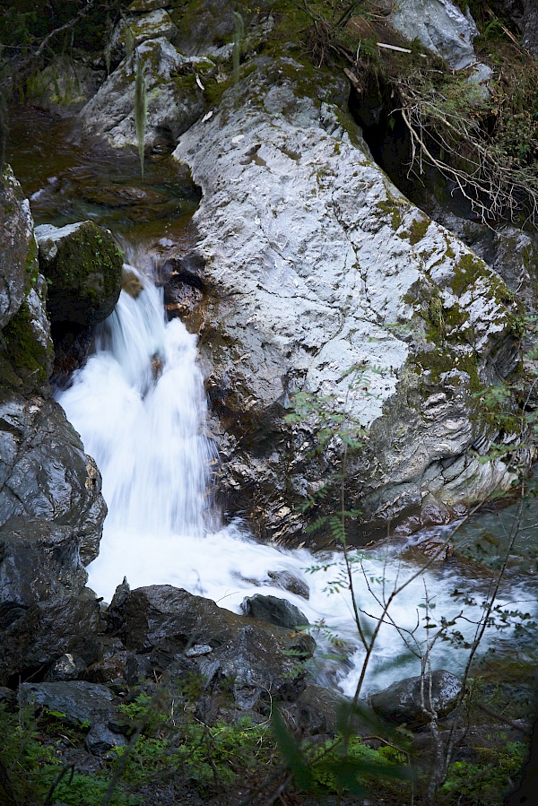 Wanderung auf den Schafsiedel und die Aleitenspitze