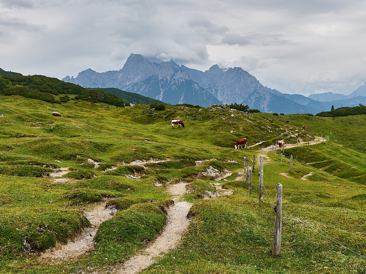 KAT Walk - Etappe 6 - St. Johann in Tirol nach St. Ulrich am Pillersee