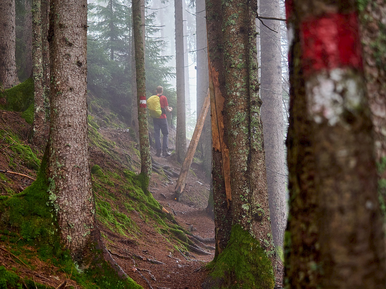 KAT Walk Etappe 4 – von Aschau nach Kitzbühel