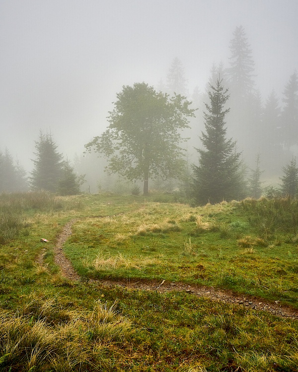 KAT Walk Etappe 4 – von Aschau nach Kitzbühel