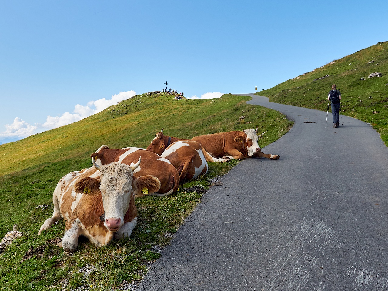 KAT Walk Etappe 5 - Kitzbühel nach St. Johann in Tirol