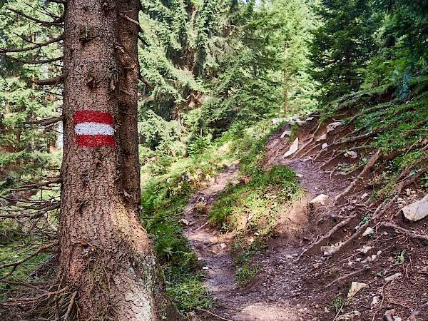 KAT Walk Etappe 6 - St. Johann in Tirol nach St. Ulrich am Pillersee