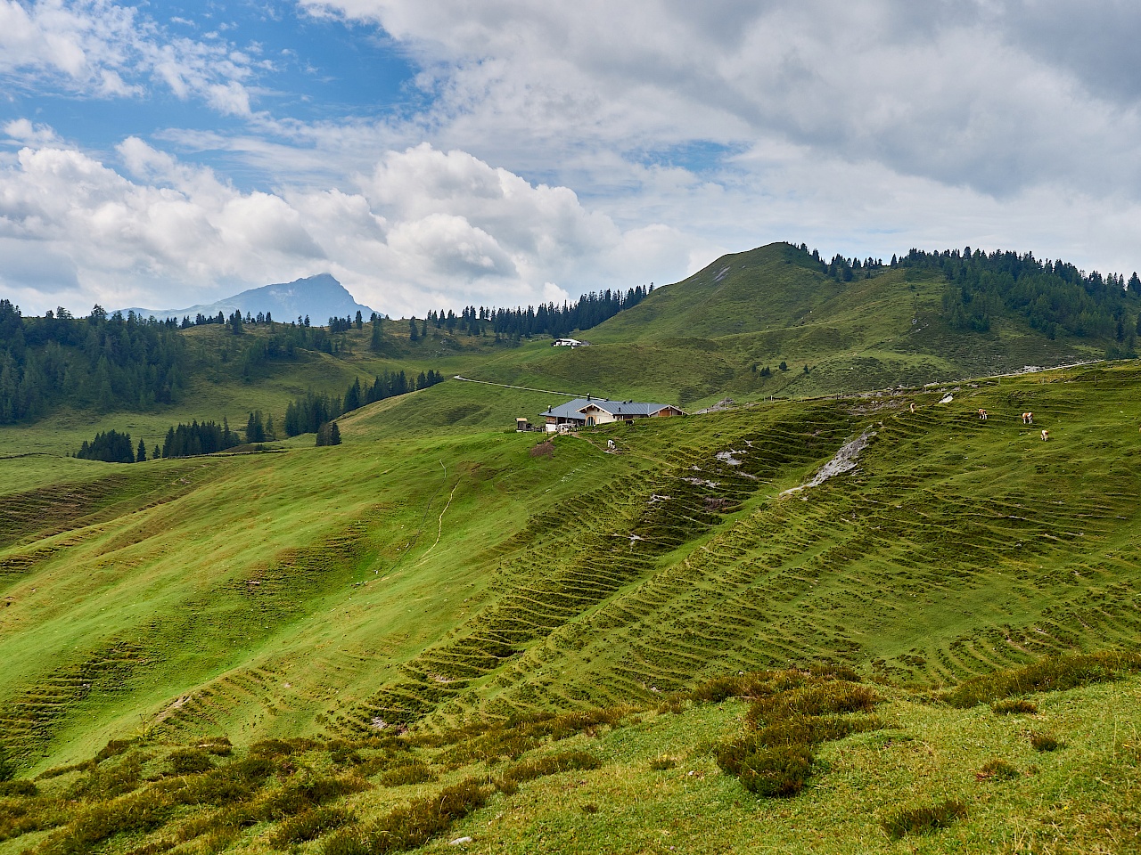 KAT Walk Etappe 6 - St. Johann in Tirol nach St. Ulrich am Pillersee