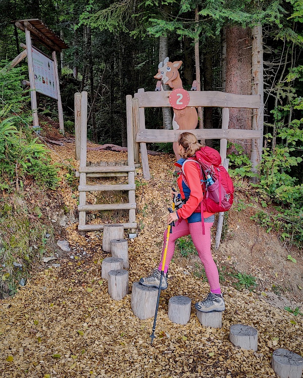 Familienwanderung - Rätseltour am Gaisberg im Brixental