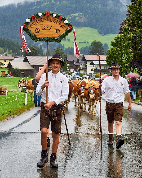 Almabtrieb in Westendorf (Brixental)